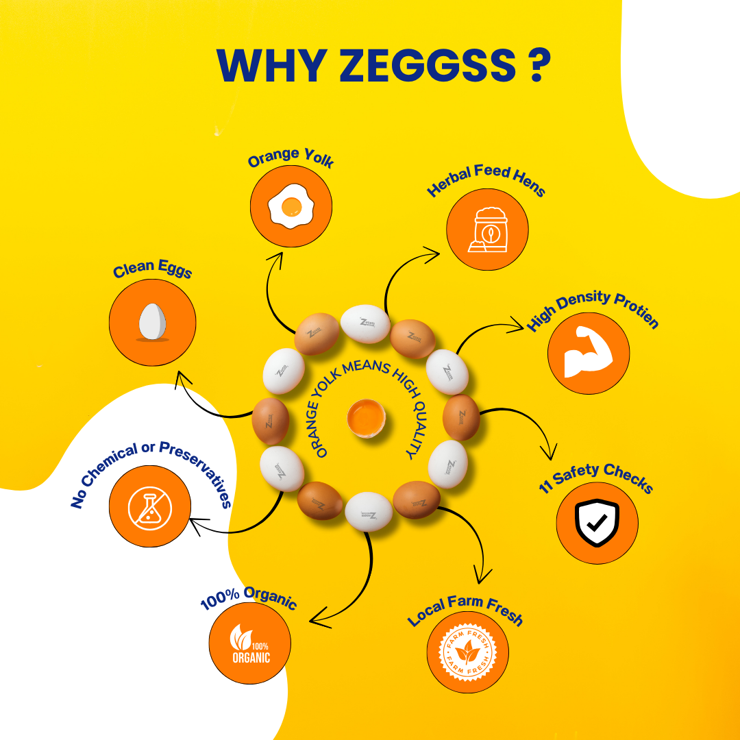 Infographic explaining the benefits of Zeggss Organic eggs