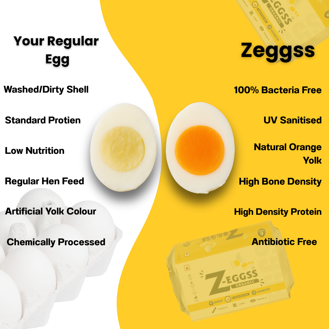 Comparison between regular egg and Zeggss Organic Egg
